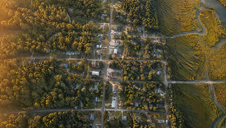 Aerial view of a small town's road grid among tall pines beside a marsh.