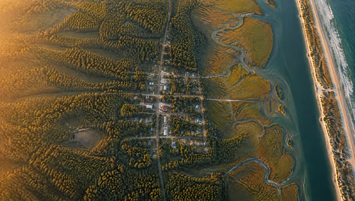 High aerial view of pine forest, salt marsh and a waterway, with a small town at the center.