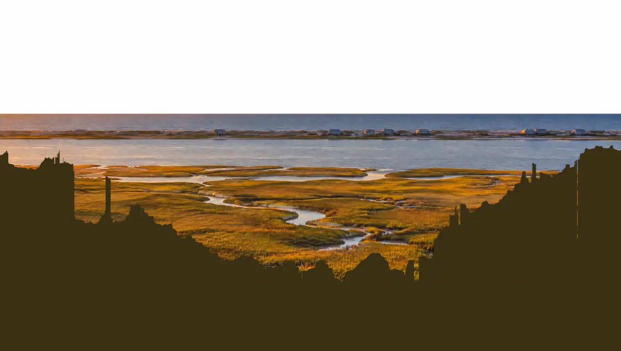 Golden-hour view over pine trees and a salt marsh to a waterway, a barrier island and the ocean.
